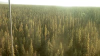 Delta Junction - Fort Greely - Taiga