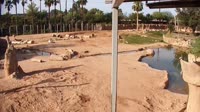 Tucson - Reid Park Zoo