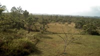 La Democracia - Monkey Bay Wildlife Sanctuary