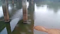 Cayce - Congaree River