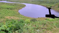 Kodiak - Dog Salmon River