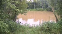 Bent Creek - French Broad River