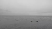 Monterey - Cannery Row
