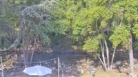 Big Sur - Big Sur River Inn