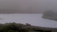 Kodiak - Dog Salmon River