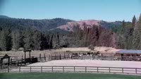 Quincy - Greenhorn Dude Ranch