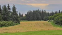 Fritz Creek - Kenai Peninsula