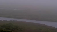 Kodiak - Dog Salmon River