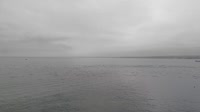 Monterey - Cannery Row