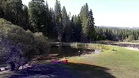 Quincy - Greenhorn Dude Ranch
