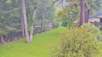 Big Sur - Big Sur River Inn