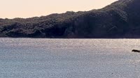Shoal Bay - Port Stephens Bay