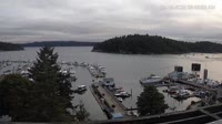 Friday Harbor - Raccolta di webcam