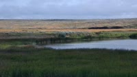 Malta - American Prairie