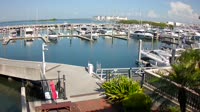 Tampa - Westshore Yacht Club Marina