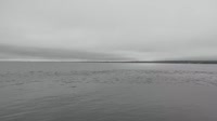 Monterey - Cannery Row