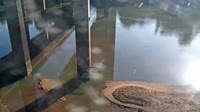 Cayce - Congaree River