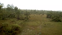 La Democracia - Monkey Bay Wildlife Sanctuary