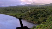Kodiak - Dog Salmon River