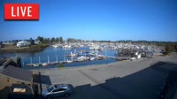 Point Roberts - Marina