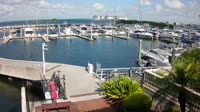 Tampa - Westshore Yacht Club Marina