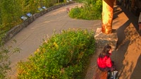 West Glacier - Apgar Visitor Center