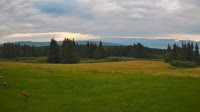 Fritz Creek - Inspiration Ridge Preserve