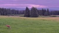 Fritz Creek - Kenai Peninsula