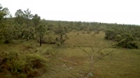 La Democracia - Monkey Bay Wildlife Sanctuary