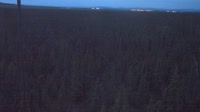 Delta Junction - Fort Greely - Taiga