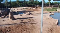 Tucson - Reid Park Zoo