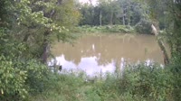 Bent Creek - French Broad River