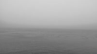 Monterey - Cannery Row