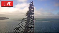 Richmond - águila pescadora