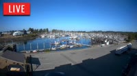 Point Roberts - Marina