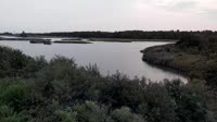 Surry - Hog Island - Wildlife Management Area