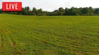 LaFollette - Hatfield Knob Elk