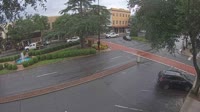 Forest City - Downtown