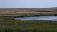 Malta - American Prairie