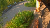 West Glacier - Apgar Visitor Center