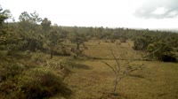 La Democracia - Monkey Bay Wildlife Sanctuary