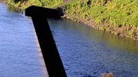 Kodiak - Dog Salmon River