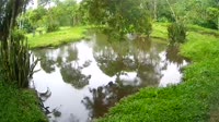 Miniaturansicht