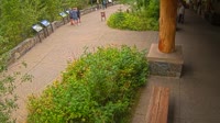 Miniaturansicht