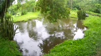 Miniatiūra
