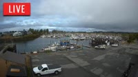 Point Roberts - Marina