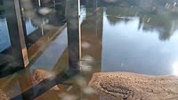 Cayce - Congaree River