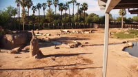 Tucson - Reid Park Zoo