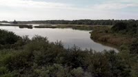 Surry - Hog Island - Wildlife Management Area