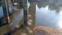 Cayce - Congaree River